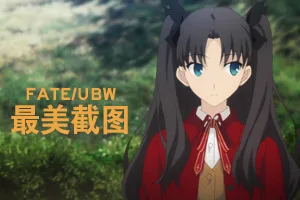 Fate/uwb萌口组截图更新！