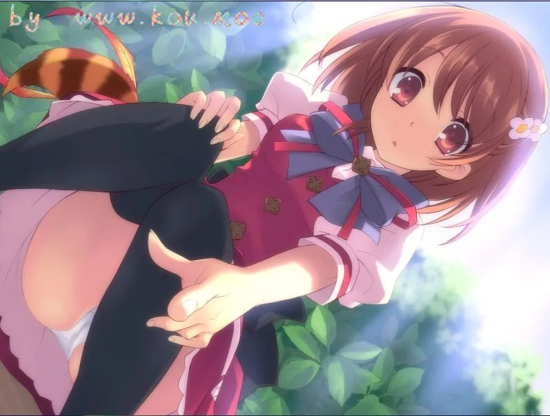 flyable heart+君の名残は静かに揺れて+启动方法游戏资源分享【附全CG+OST】萝莉和茉百合大法好！