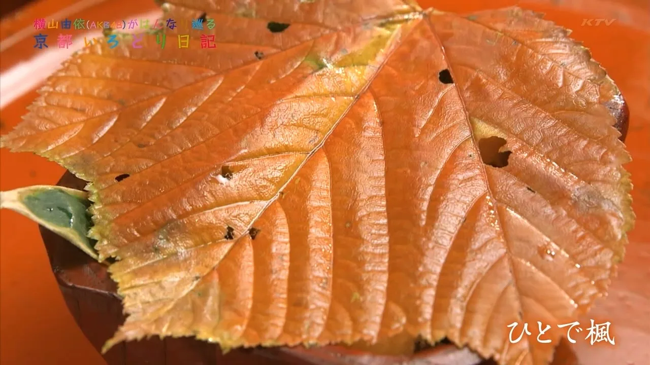 【Team德光老爷我很冷静字幕组】131218 横山由依 京都色彩日记 EP6.mp4_snapshot_31.00_[2015.02.11_13.46.15].jpg