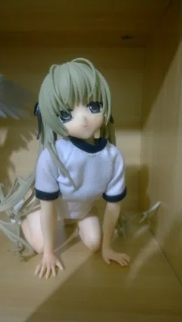 5.png